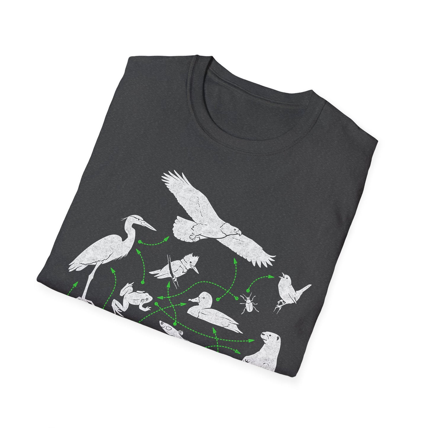 Wetland Food Web