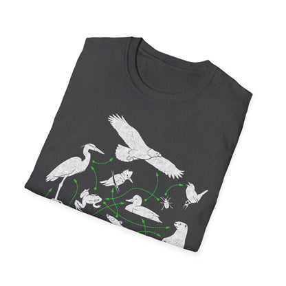 Wetland Food Web