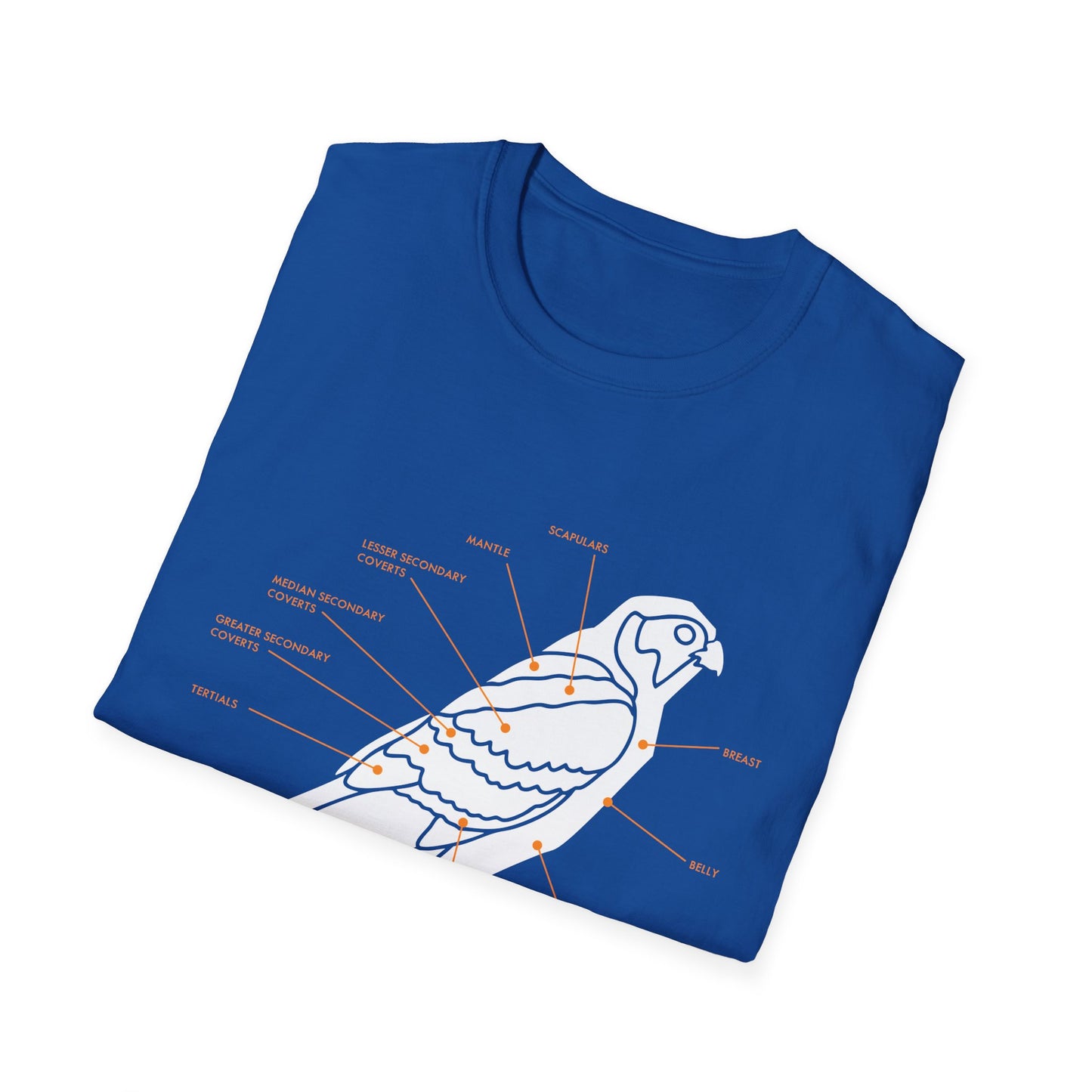 Plumage Anatomy - Falcon | Dark Shirt