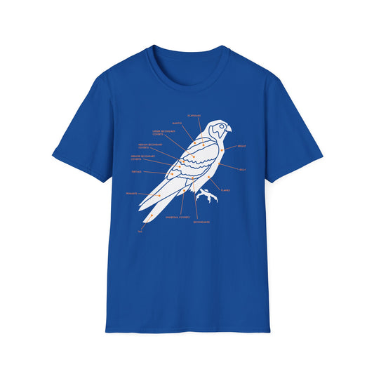 Plumage Anatomy - Falcon | Dark Shirt