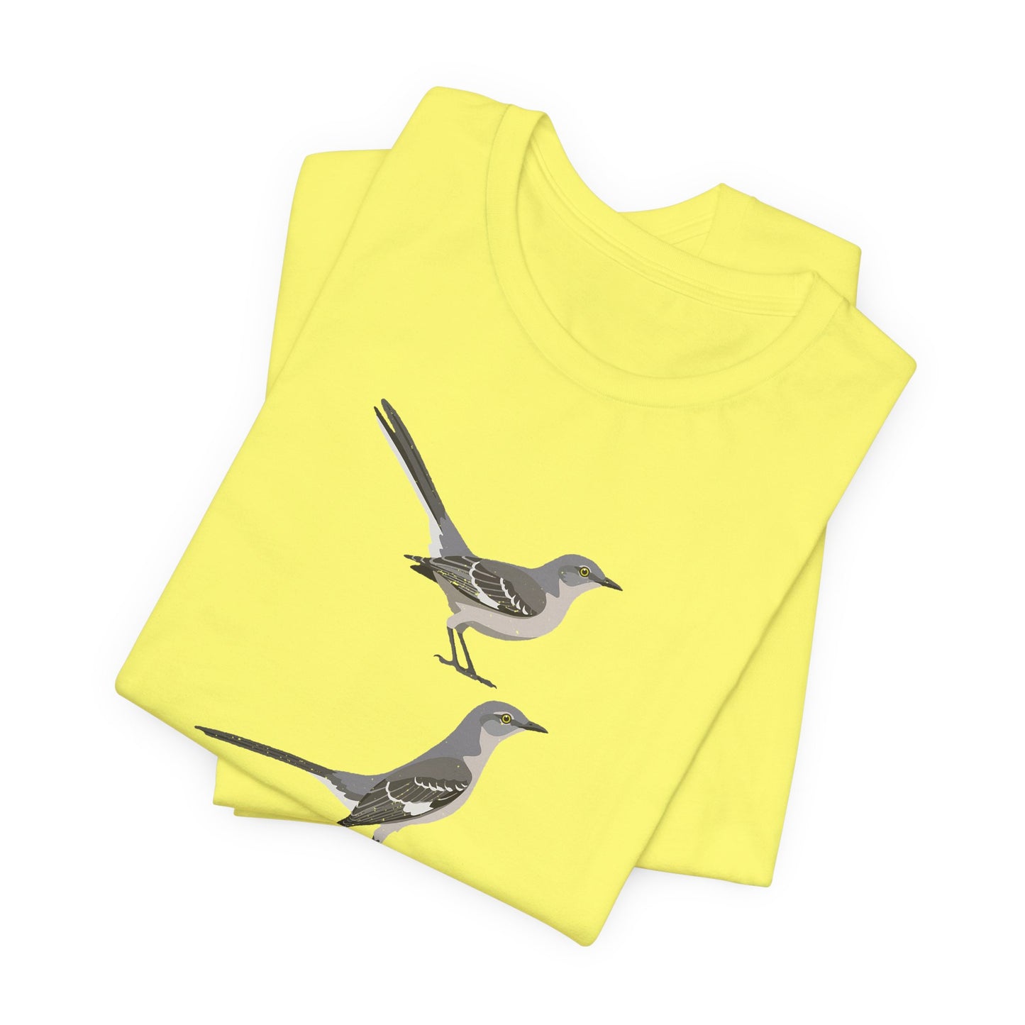 Northern Mockingbird