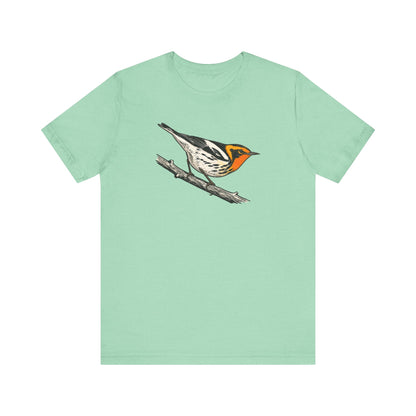 Blackburnian Warbler
