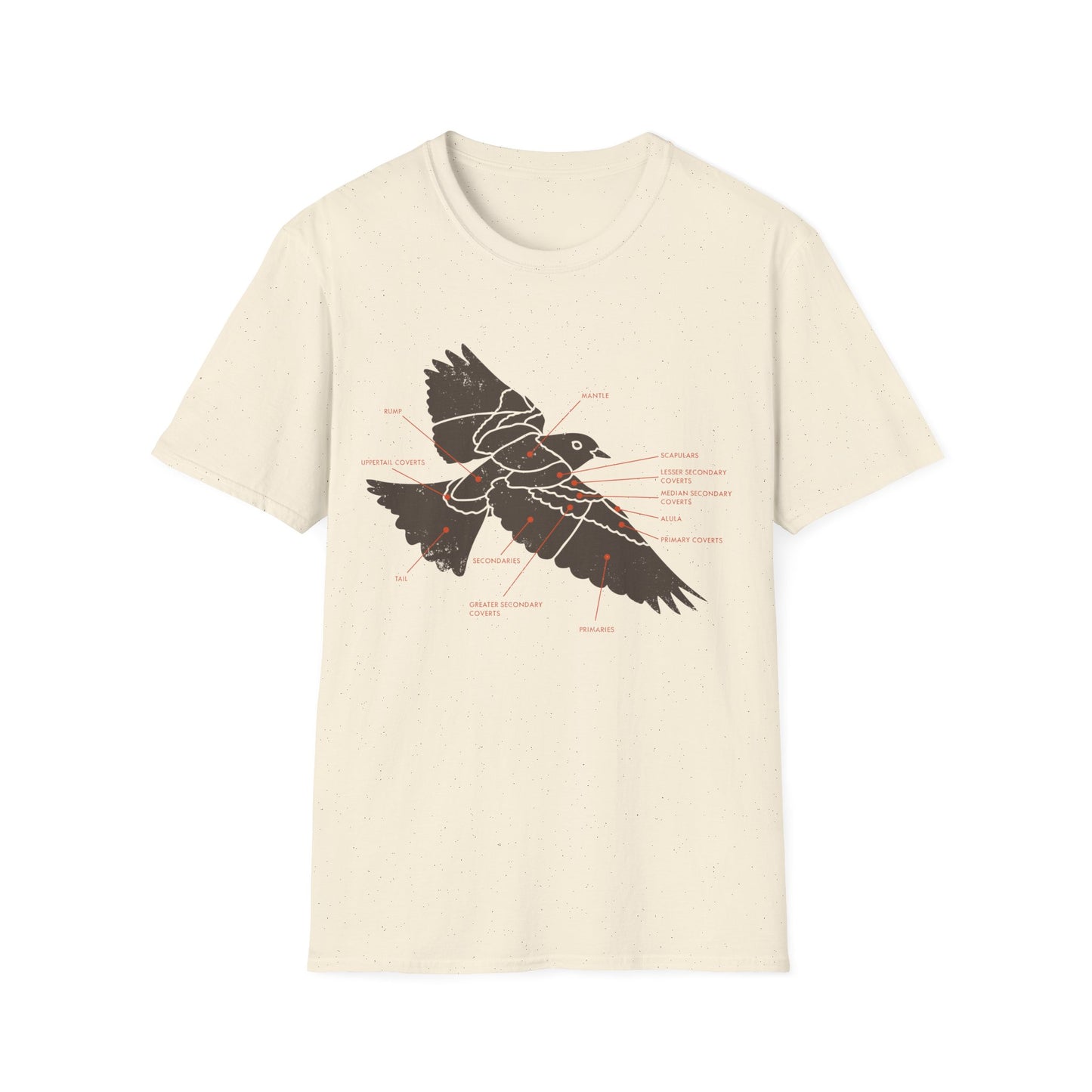 Plumage Anatomy - Songbird | Light Shirt