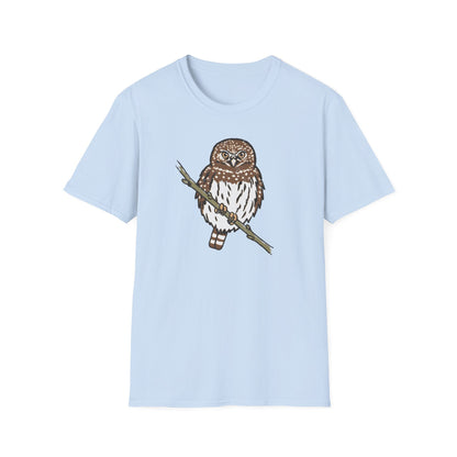 Northern Pygmy-Owl