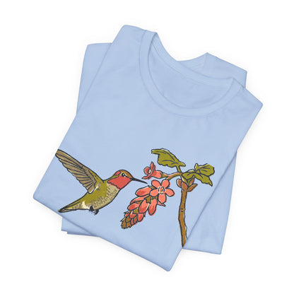 Anna's Hummingbird