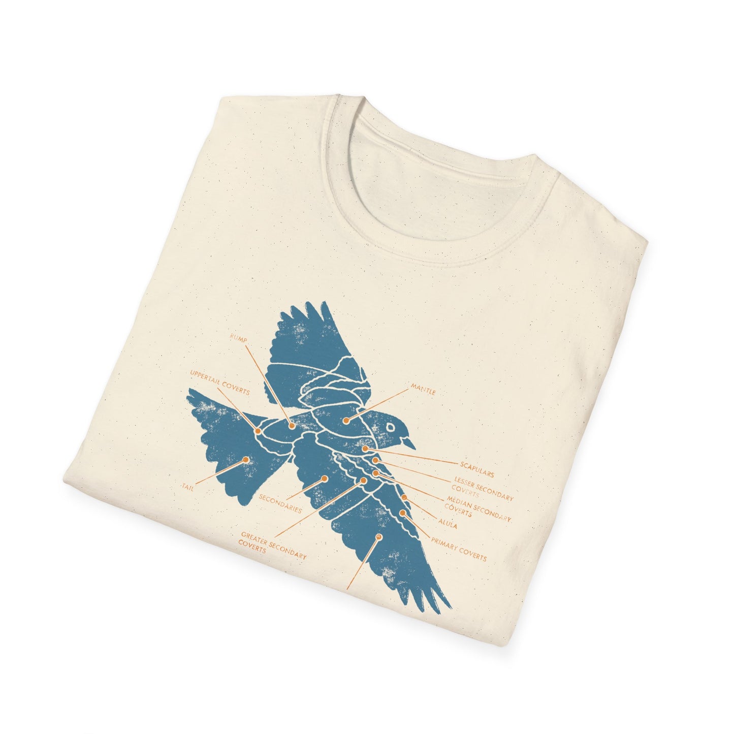 Plumage Anatomy - Songbird