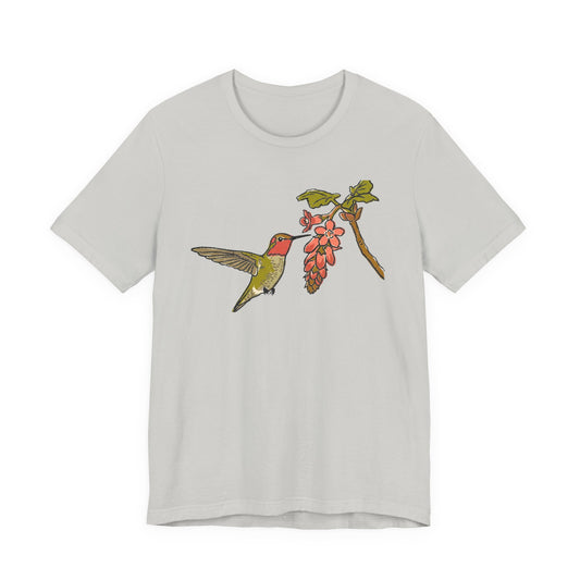 Anna's Hummingbird
