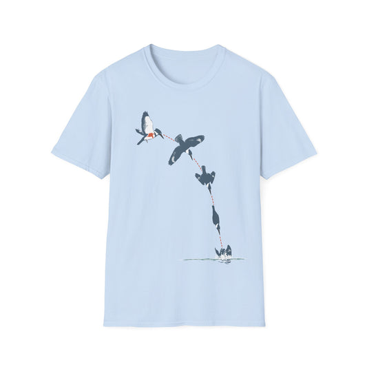 Belted Kingfisher Dive