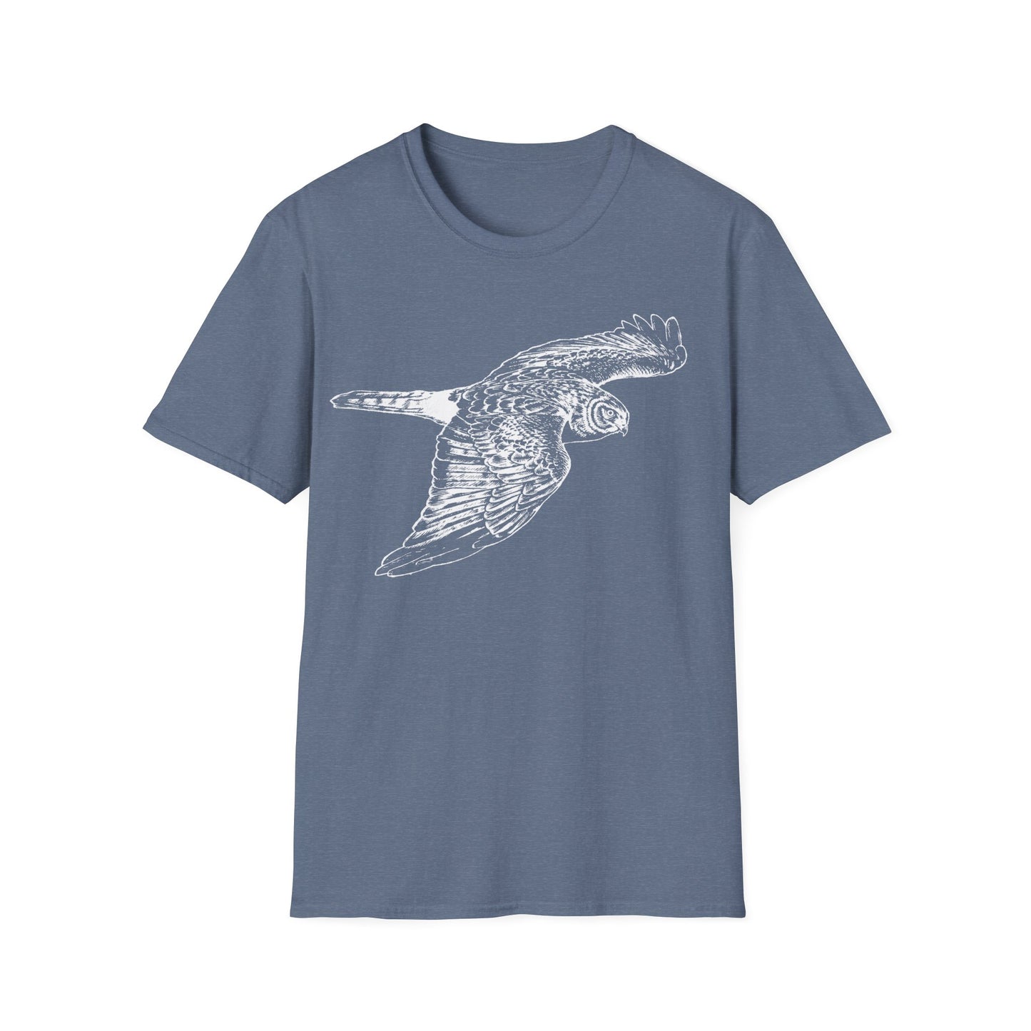 Northern Harrier: The Gray Ghost