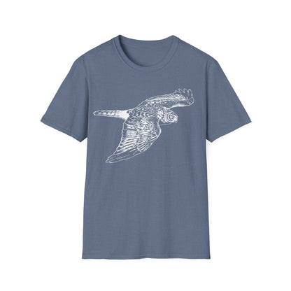 Northern Harrier: The Gray Ghost