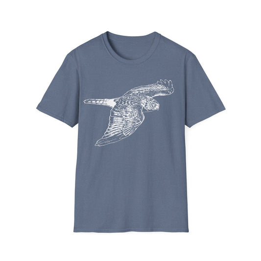 Northern Harrier: The Gray Ghost