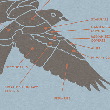 Plumage Anatomy - Songbird | Light Shirt