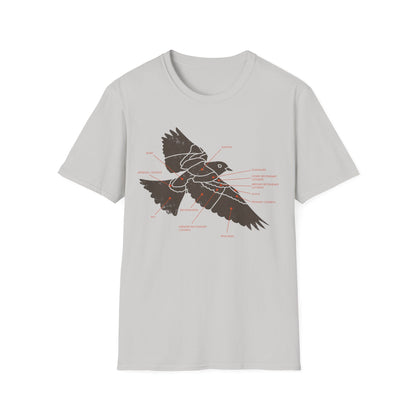 Plumage Anatomy - Songbird | Light Shirt