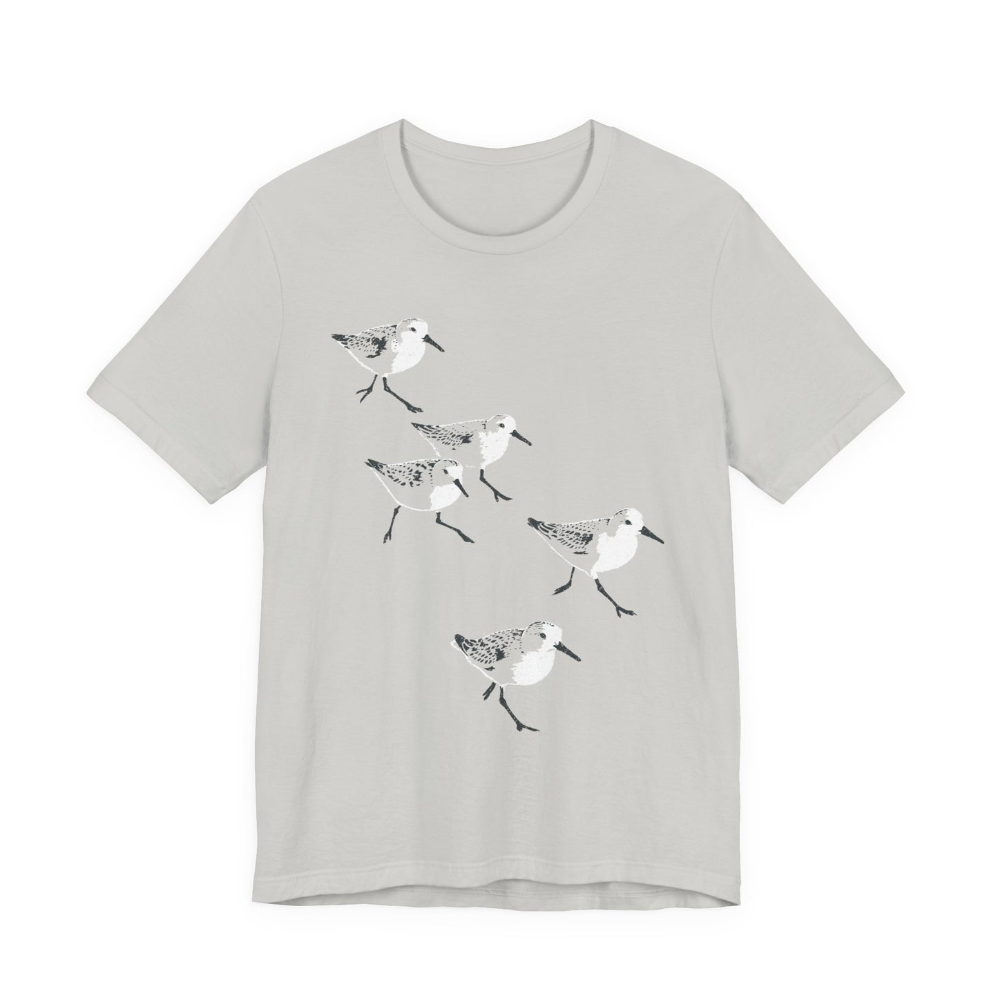 Sanderlings