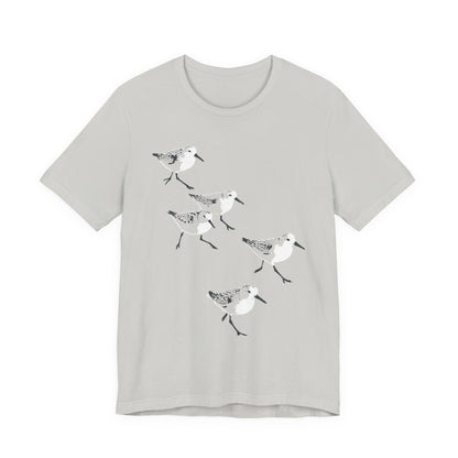 Sanderlings