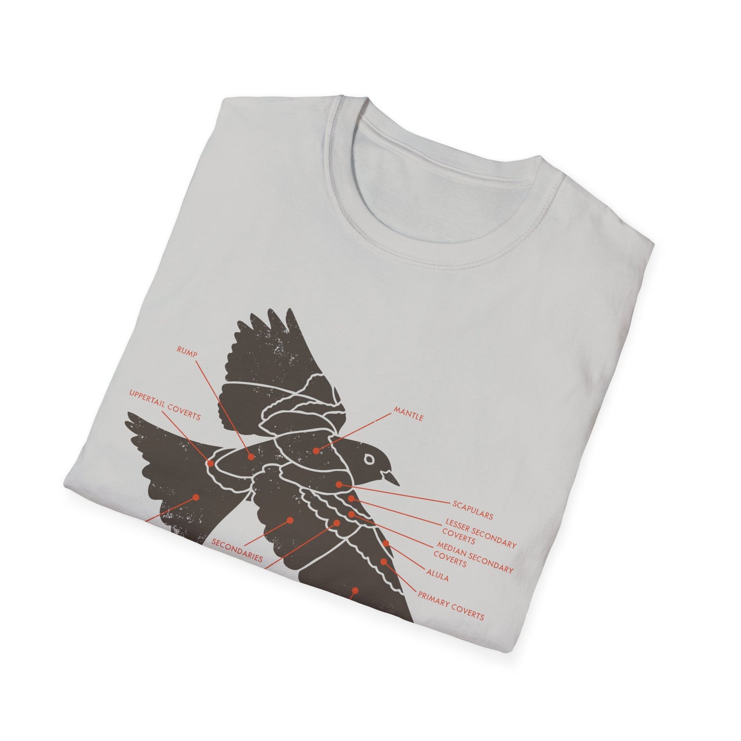 Plumage Anatomy - Songbird | Light Shirt