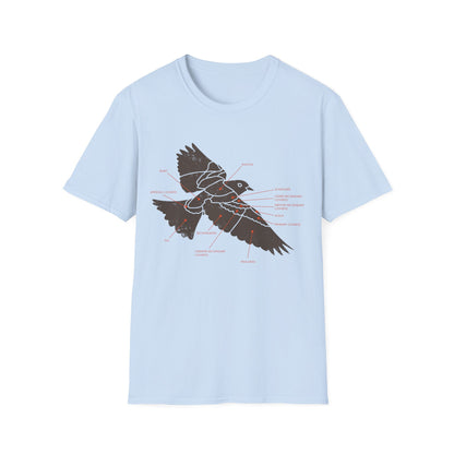 Plumage Anatomy - Songbird | Light Shirt
