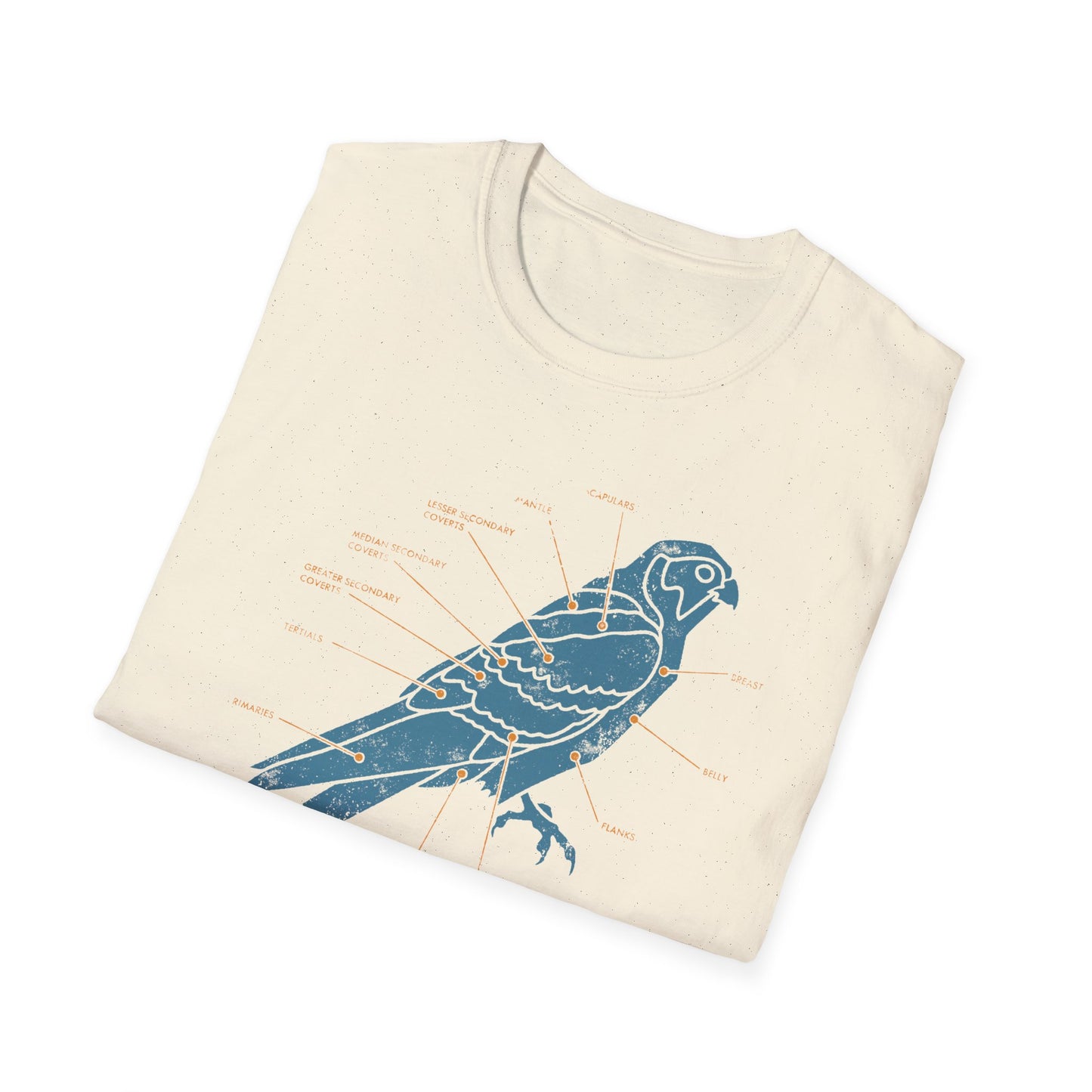 Plumage Anatomy - Falcon