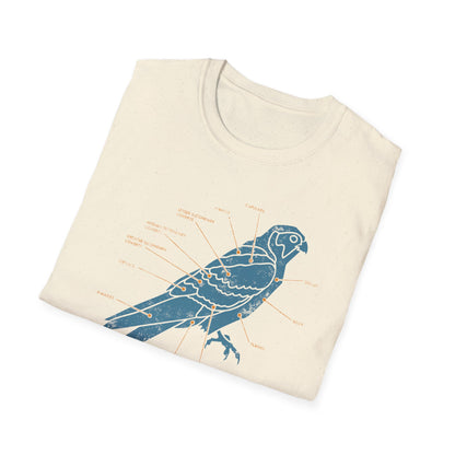 Plumage Anatomy - Falcon