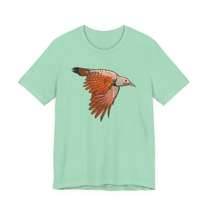 Northern Flicker