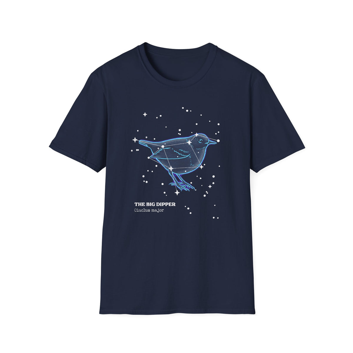 The Big Dipper Constellation