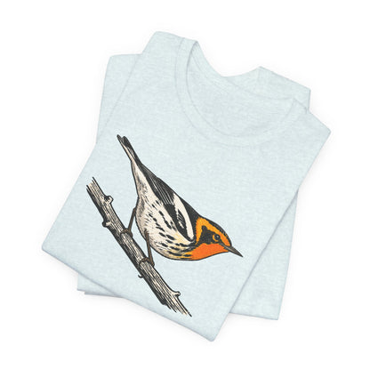Blackburnian Warbler