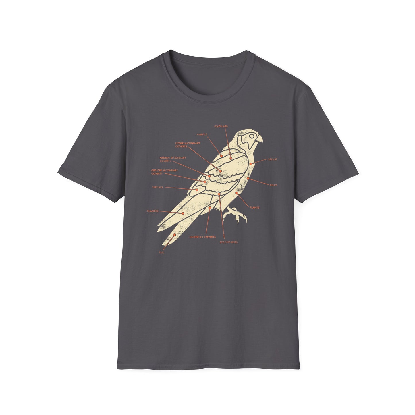 Plumage Anatomy - Falcon