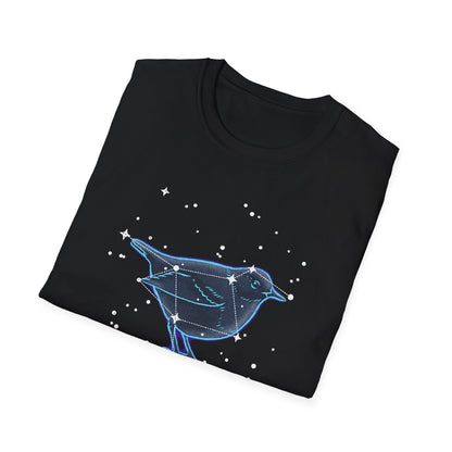 The Big Dipper Constellation