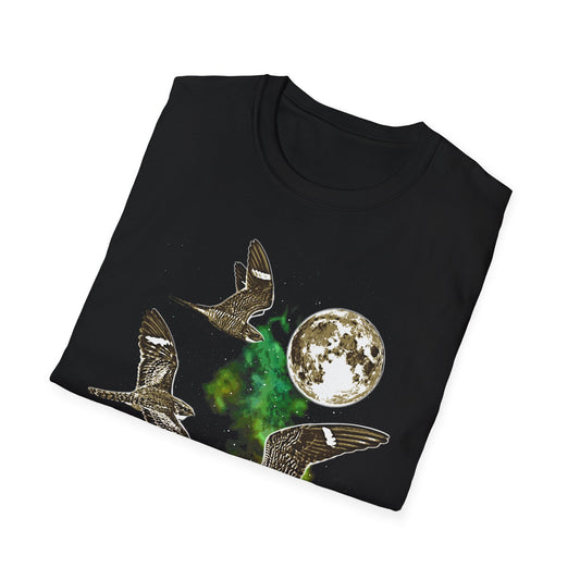 Three Nighthawk Moon