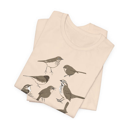 Little Brown Birds (LBBs)