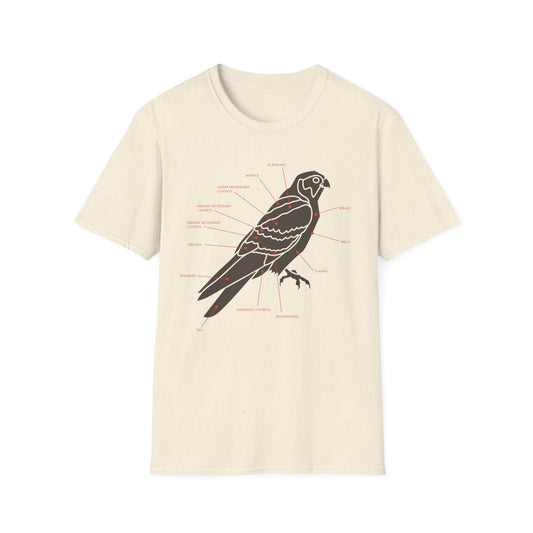 Plumage Anatomy - Falcon | Light Shirt