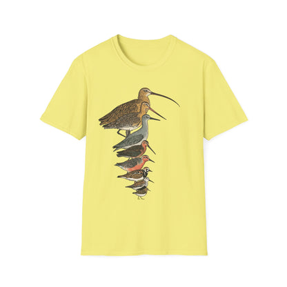 Sandpipers of America