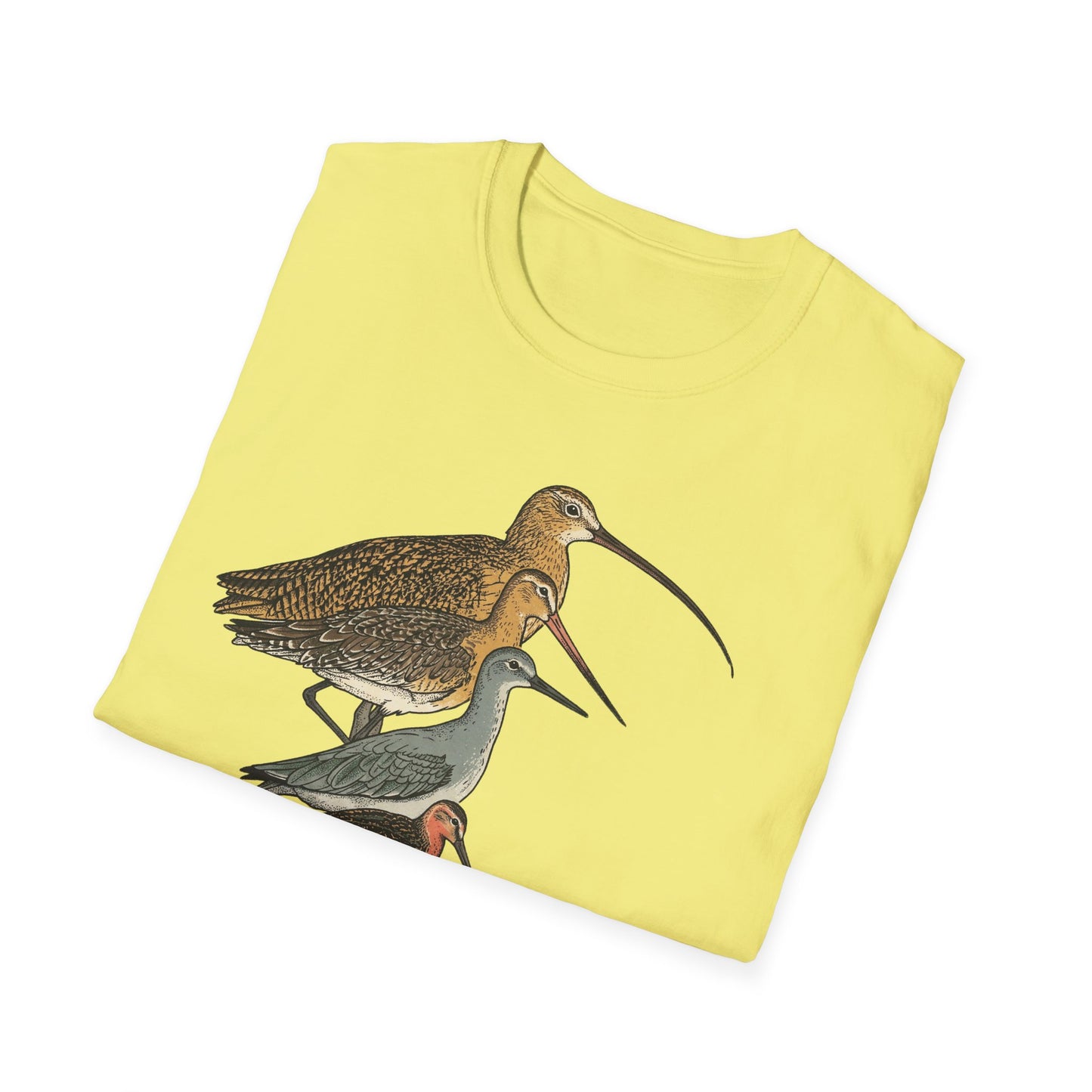 Sandpipers of America