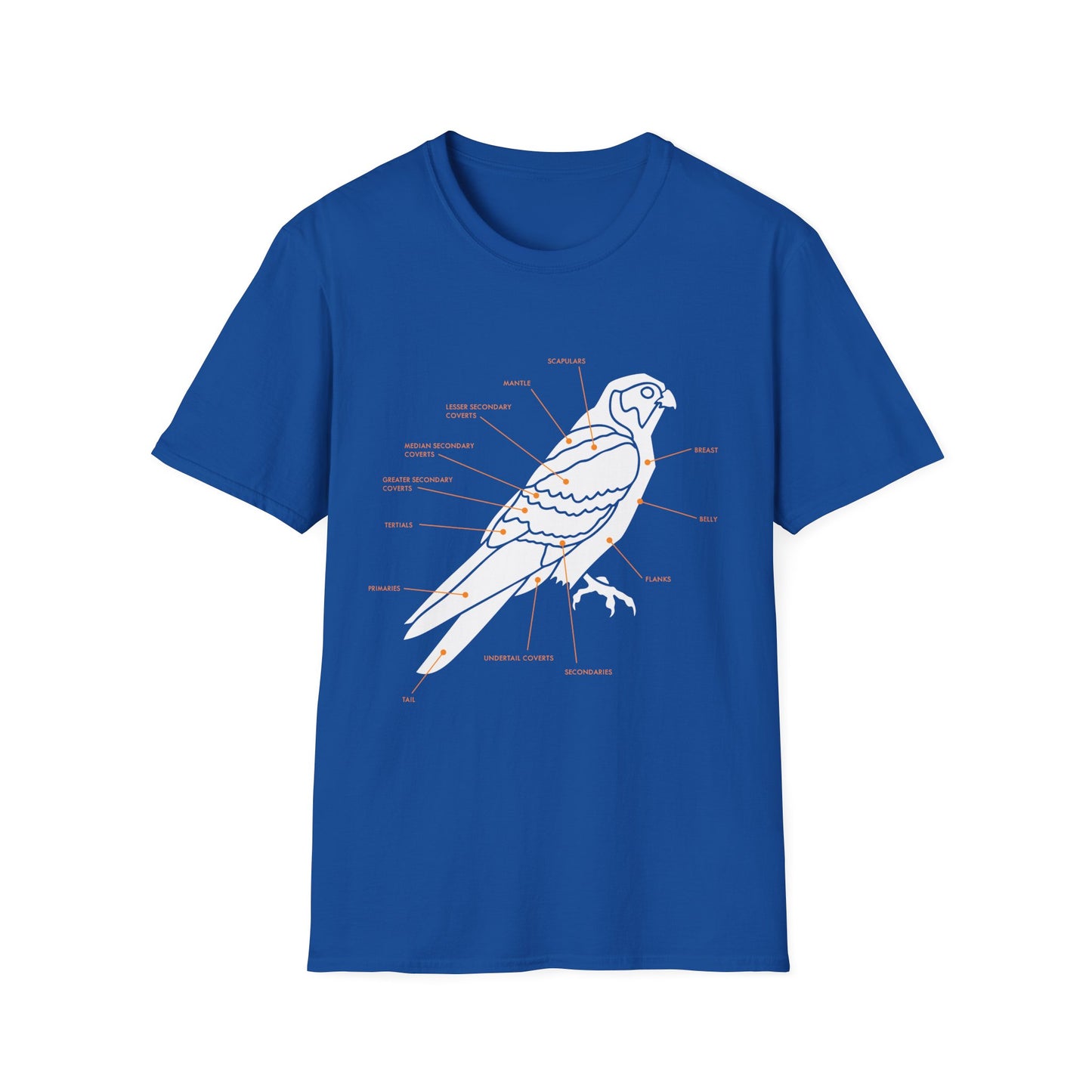 Plumage Anatomy - Falcon | Dark Shirt