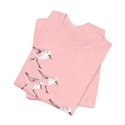 Sanderlings
