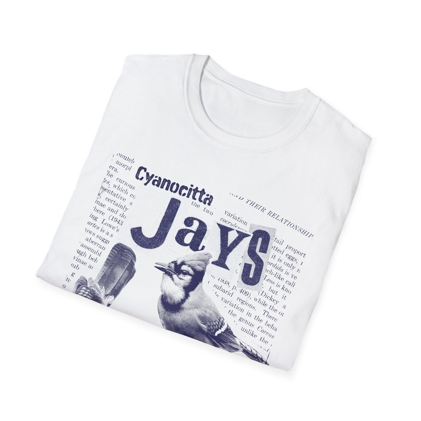 Steller's Jay and Blue Jay: Agents of Chaos