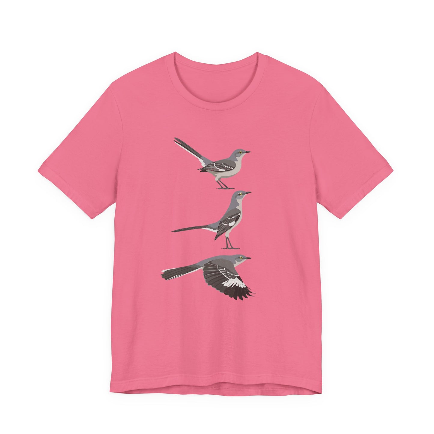 Northern Mockingbird