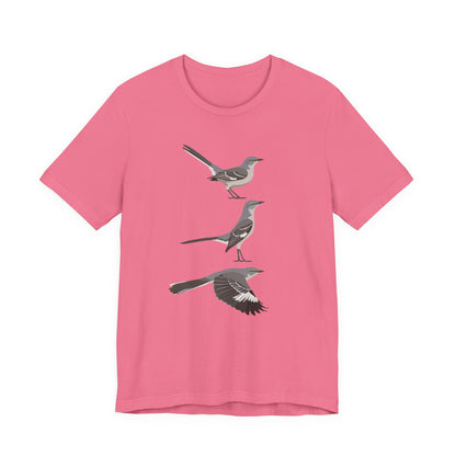 Northern Mockingbird