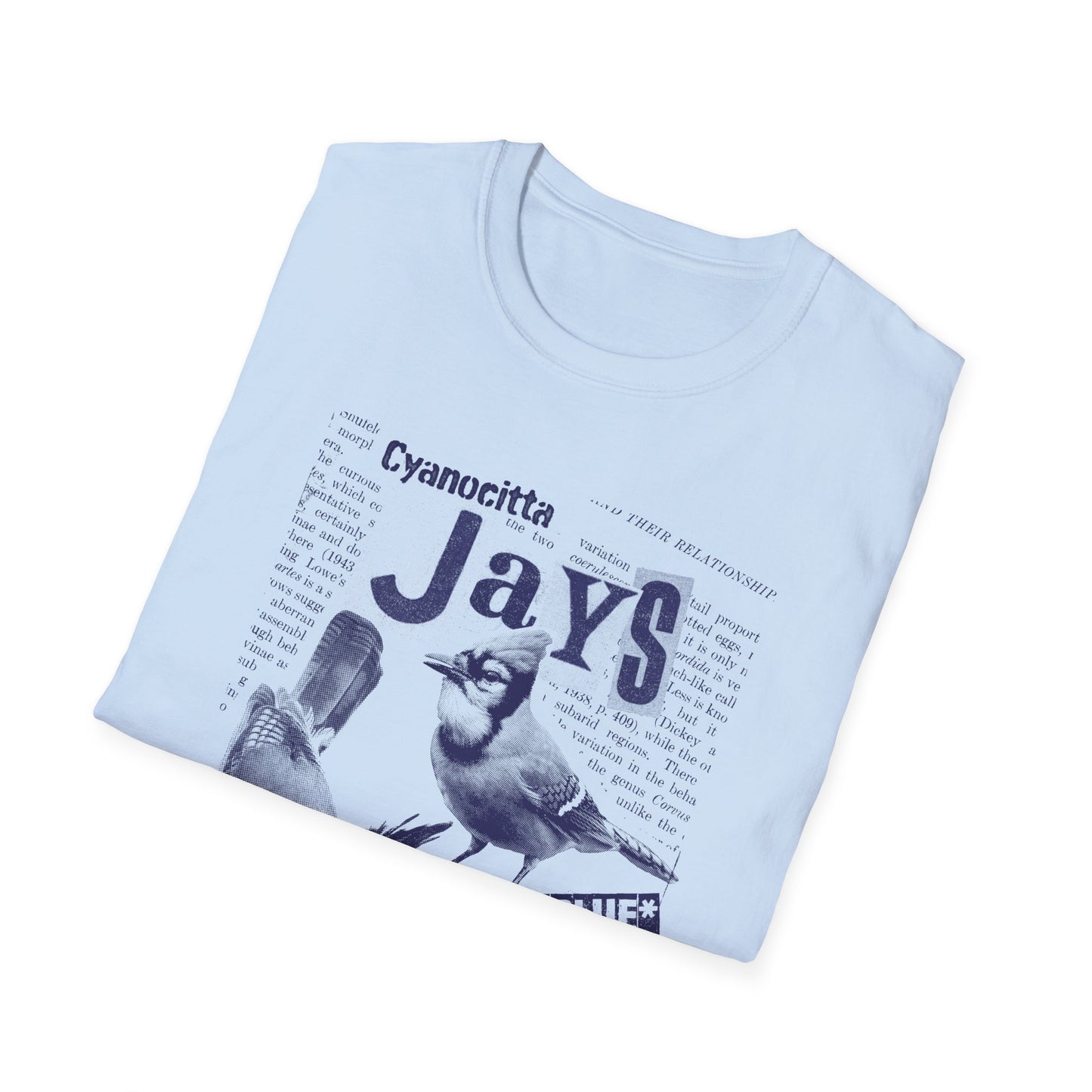 Steller's Jay and Blue Jay: Agents of Chaos