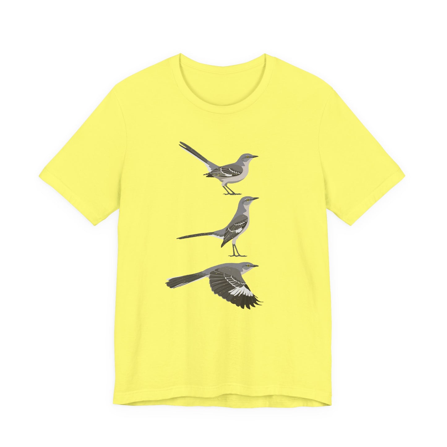 Northern Mockingbird