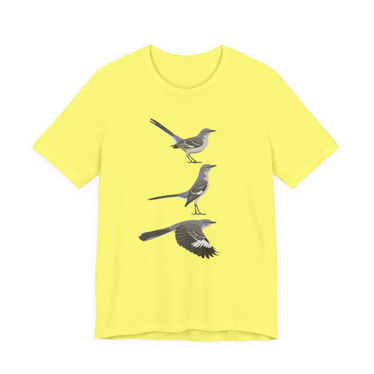 Northern Mockingbird