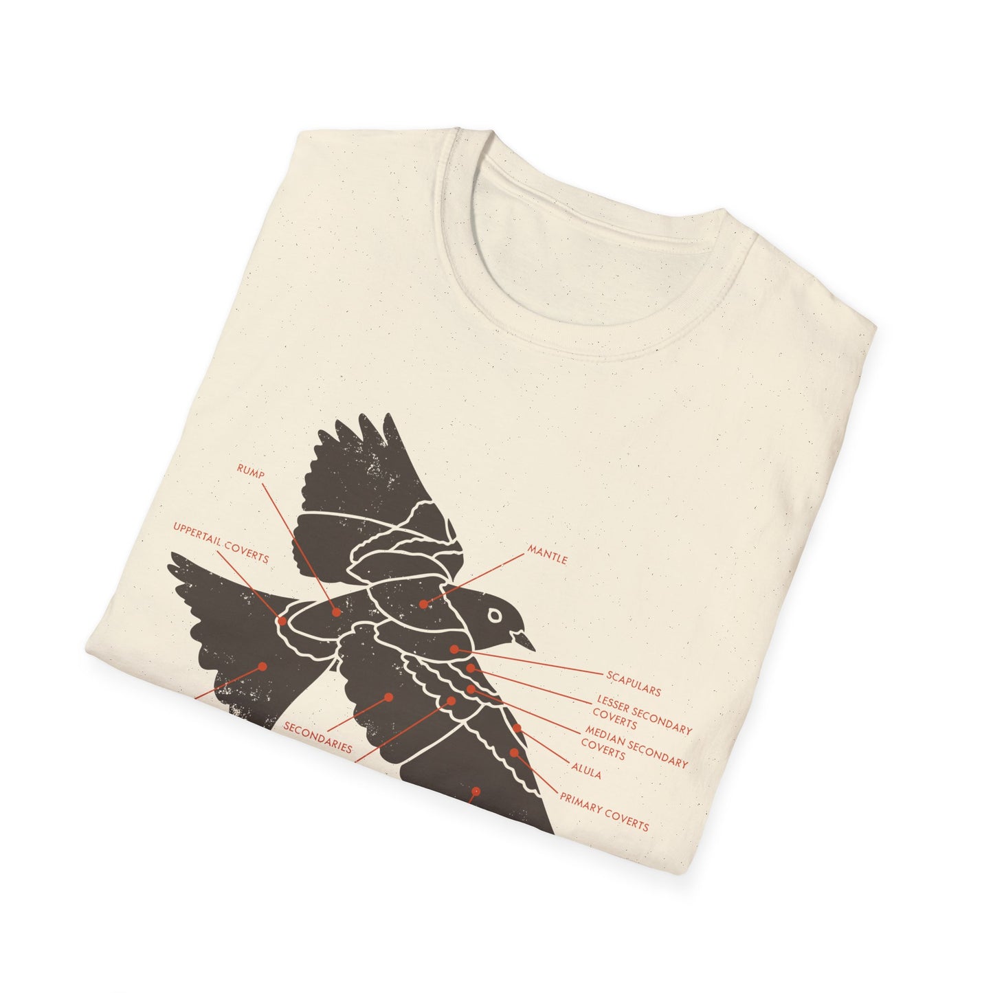 Plumage Anatomy - Songbird | Light Shirt
