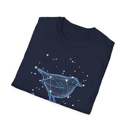 The Big Dipper Constellation