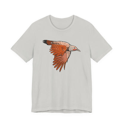 Northern Flicker