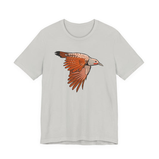 Northern Flicker