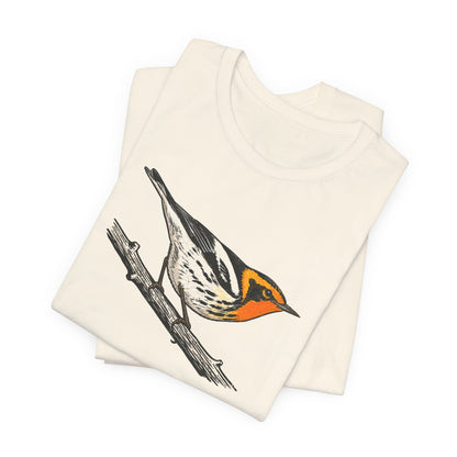 Blackburnian Warbler