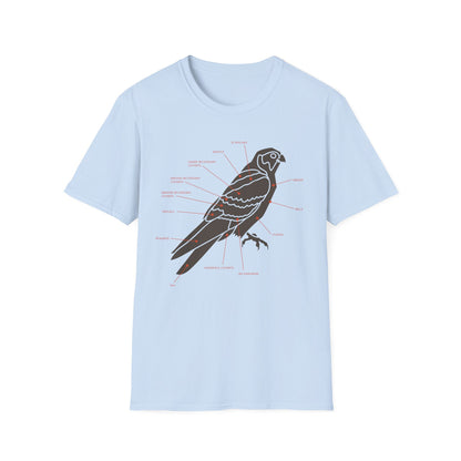Plumage Anatomy - Falcon | Light Shirt