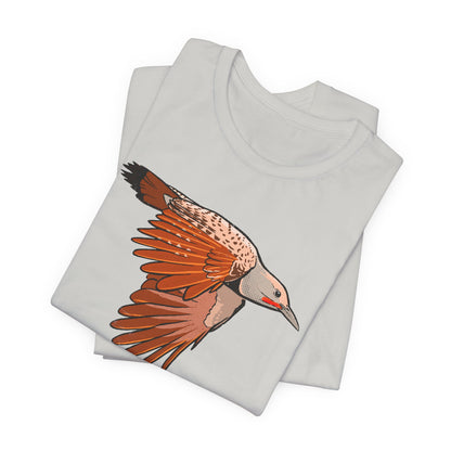 Northern Flicker