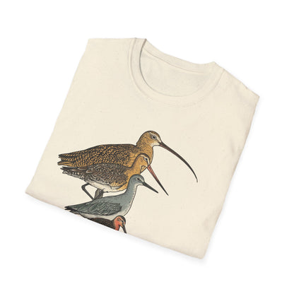 Sandpipers of America
