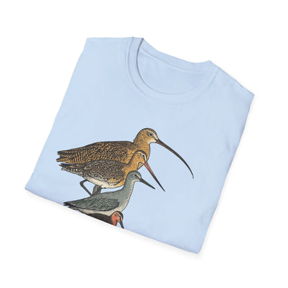 Sandpipers of America